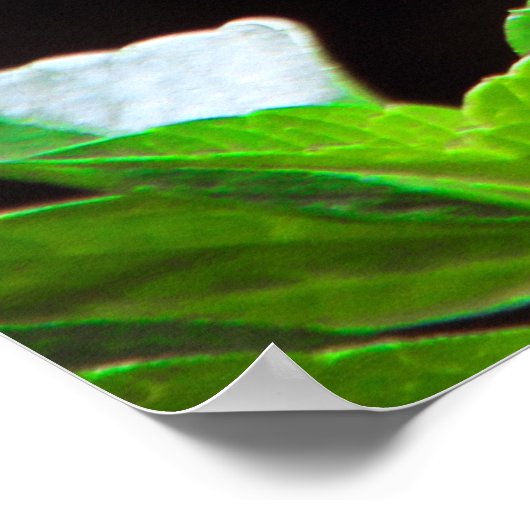 Dahlia mit Ecclesiastes Verses Poster (Ecke)