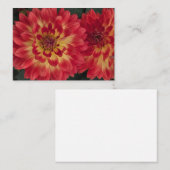 Dahlia Mitteilungskarte (Vorne/Hinten)