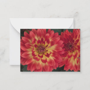 Dahlia Mitteilungskarte
