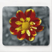 Dahlia Mousepad (Vorne)