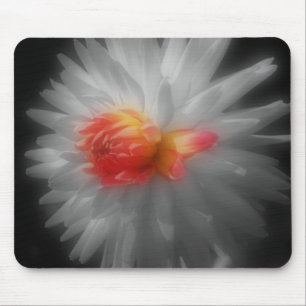 Dahlia Nahaufnahme-Blume Schwarz Weiß Mauspad