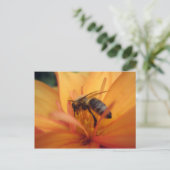 Dahlia (orange) postkarte (Stehend Vorderseite)