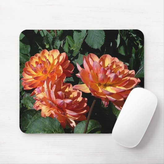 Dahlia Pam Howden #1 Mouse Pad Mousepad (Mit Mouse)