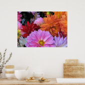 Dahlia Petals Poster (Küche)