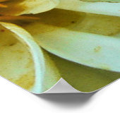 Dahlia Petals Poster (Ecke)