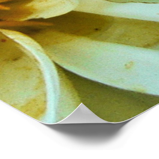 Dahlia Petals Poster (Ecke)