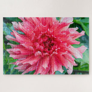 Dahlia Pink Canadian Flower Fotografy Puzzle