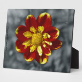 Dahlia Plaque Fotoplatte (Seite)