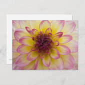 Dahlia Postcard Postkarte (Vorne/Hinten)