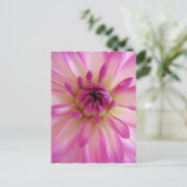 Dahlia Postcard Postkarte (Stehend Vorderseite)