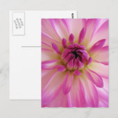 Dahlia Postcard Postkarte (Vorne/Hinten)