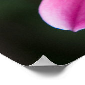 Dahlia Poster (Ecke)