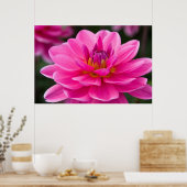 Dahlia Poster (Küche)