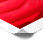 Dahlia Poster (Ecke)