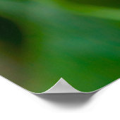 Dahlia Poster (Ecke)