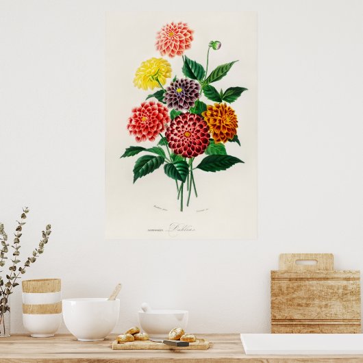Dahlia Poster (Küche)