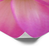 Dahlia Poster (Ecke)