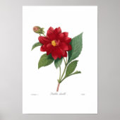 Dahlia Poster (Vorne)