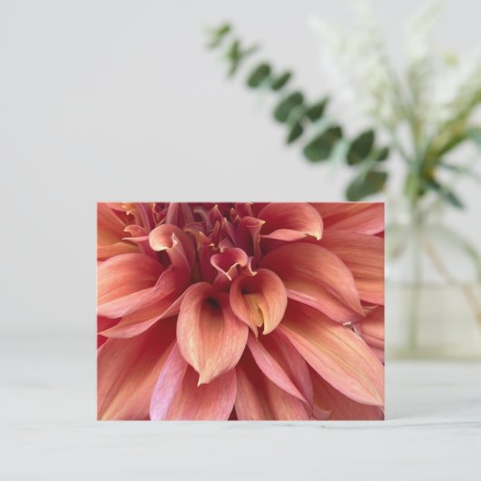 Dahlia Postkarte (Stehend Vorderseite)