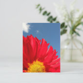 Dahlia Postkarte (Stehend Vorderseite)