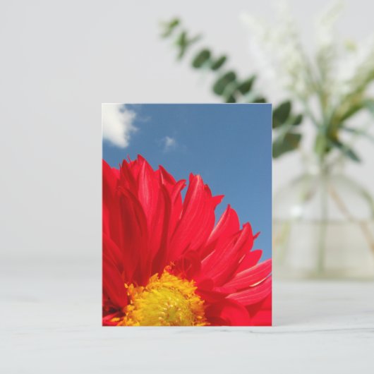 Dahlia Postkarte (Stehend Vorderseite)