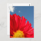Dahlia Postkarte (Vorne/Hinten)