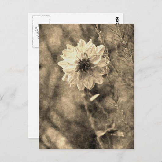 Dahlia Postkarte (Vorne/Hinten)