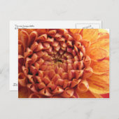 Dahlia - Postkarte (Vorne/Hinten)