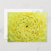 Dahlia Postkarte (Vorne/Hinten)