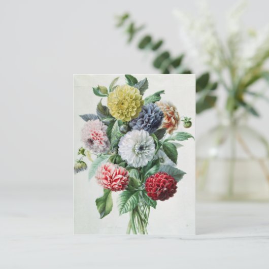 Dahlia Postkarte (Stehend Vorderseite)