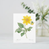 Dahlia Postkarte (Stehend Vorderseite)