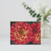 Dahlia Postkarte (Stehend Vorderseite)