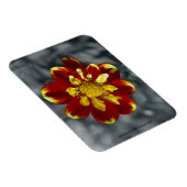Dahlia Premium Magnet (Rechte Seite)