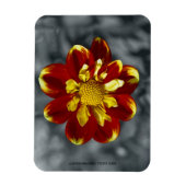 Dahlia Premium Magnet (Vertikal)