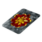 Dahlia Premium Magnet (Linke Seite)