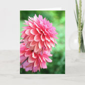 Dahlia-Profil Karte (Vorderseite)