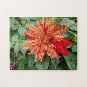 Dahlia Puzzle