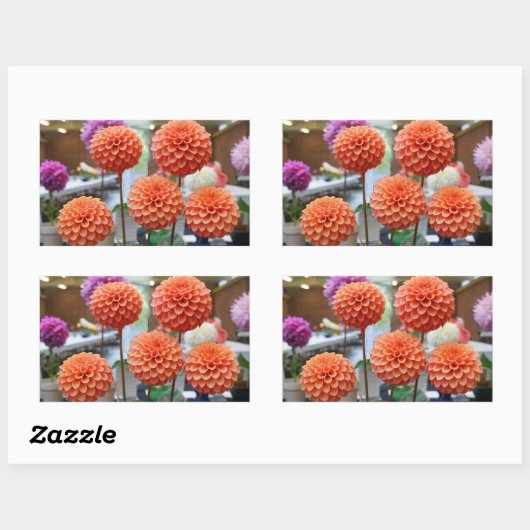 Dahlia Rose Toscano #1-2 Stickers (Blatt)