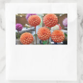 Dahlia Rose Toscano #1-2 Stickers (Tasche)