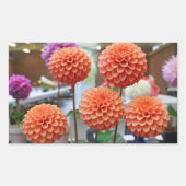 Dahlia Rose Toscano #1-2 Stickers (Vorderseite)