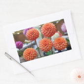 Dahlia Rose Toscano #1-2 Stickers (Umschlag)