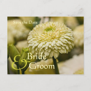 Dahlia Save the Date Postcard Ankündigungspostkarte