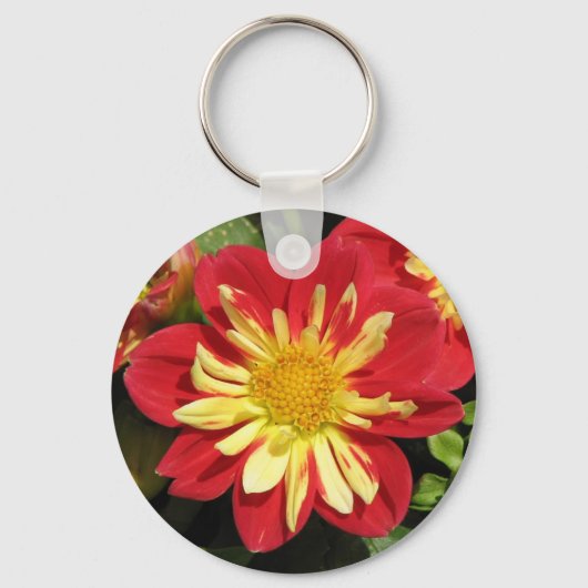 Dahlia Scarlet Schlüsselanhänger (Vorderseite)