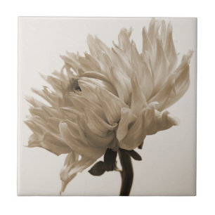 Dahlia sepia print fliese