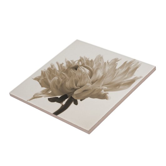 Dahlia sepia print fliese (Seite)