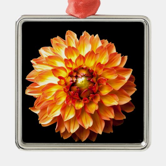 Dahlia Silbernes Ornament (Vorne)