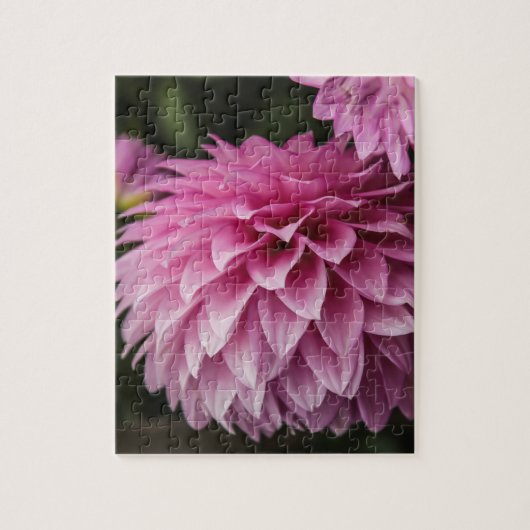 Dahlia Spring Blume Puzzle (Vertikal)