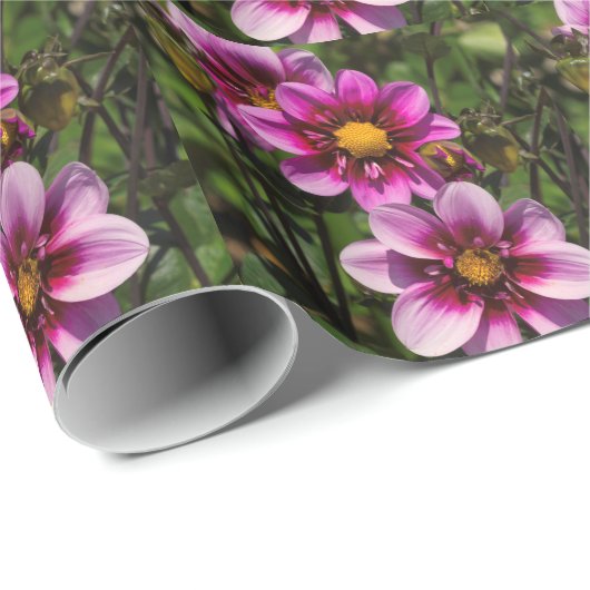 Dahlia Trio Geschenkpapier (Rolleneckpunkt)