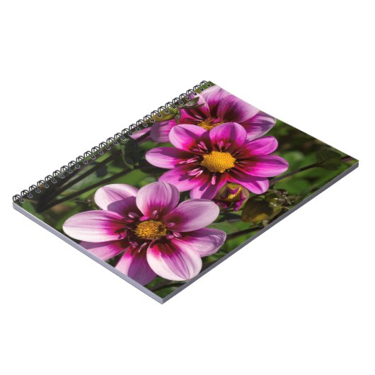 Dahlia Trio Notizblock (Linke Seite)