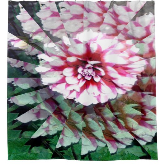 Dahlia twirl...... duschvorhang (Vorderseite)